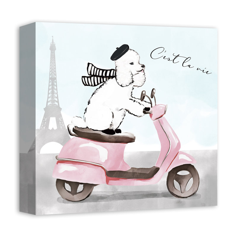 Reproduction d’art graphique sur toile tendue « Français Poodle scooter »