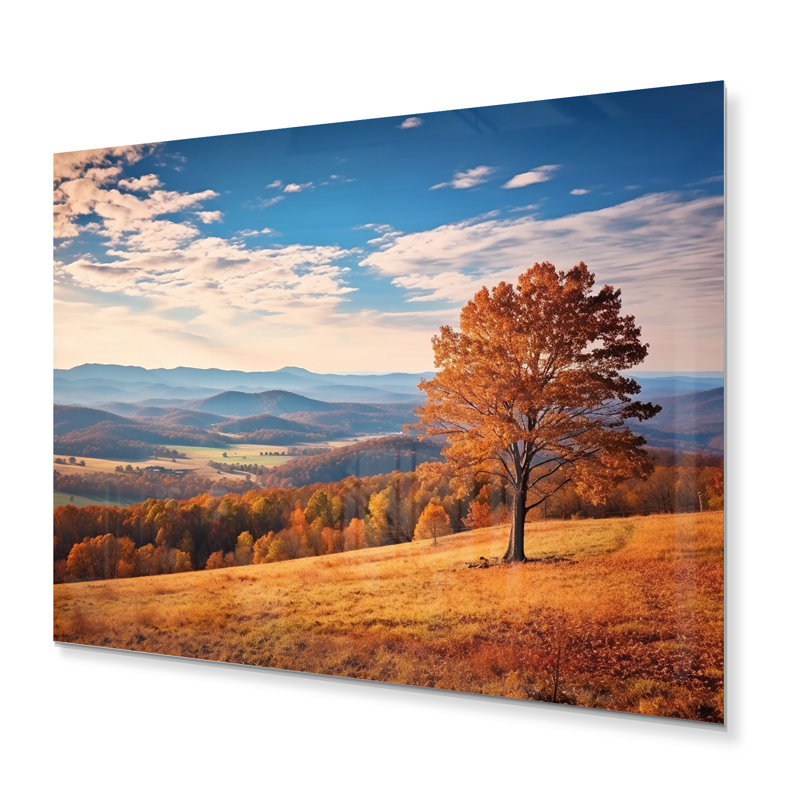 Harmony on Virginia Shenandoah Valley - reproduction d'art sur métal sans cadre, H 30 po x l 40 po x P 1 po