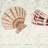 Guy Harvey Seashell Swirl Area Rug-100204911