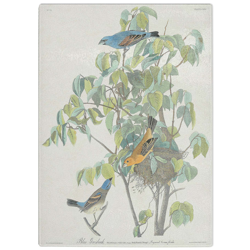 Tempered Glass Grosbeak Birds Chopping Board, 28.5 cm W x 39 cm L