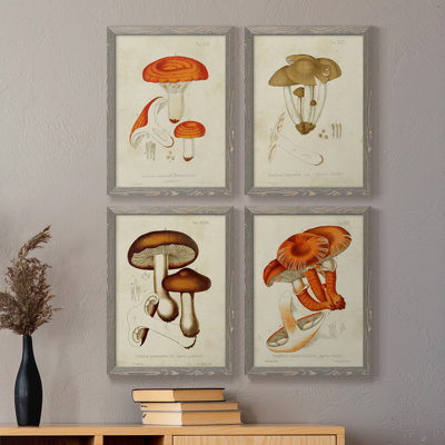 Champignon Variétés Ix - ensemble de 4 reproductions d'art sur toile encadrées