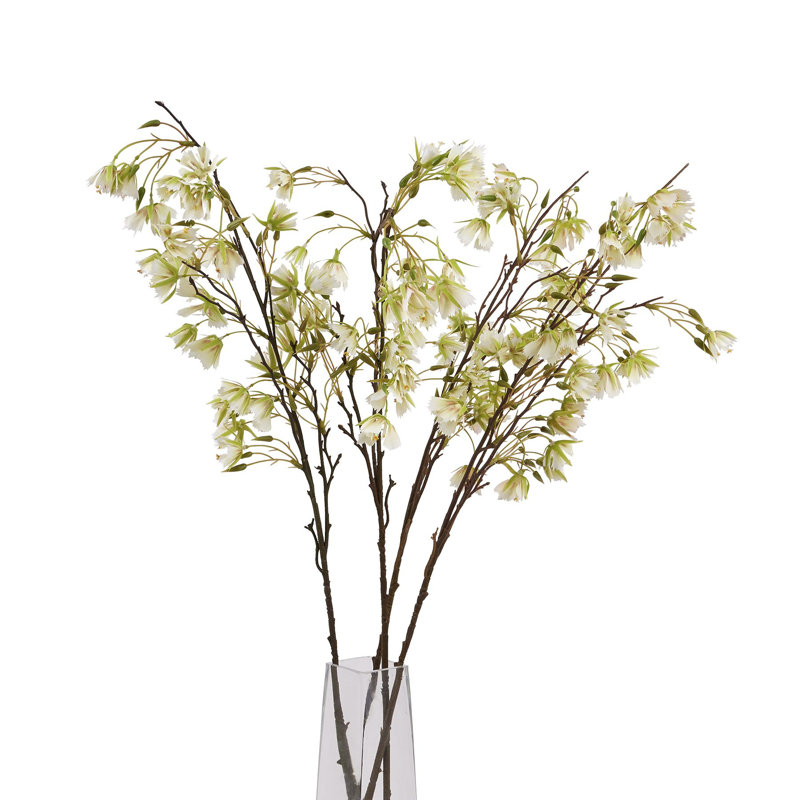 Anastasija Arrangement