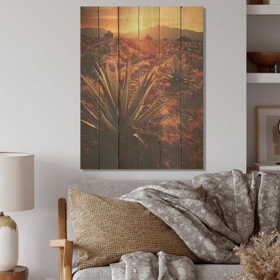 Succulent Field In Texas - Art sur bois de pin naturel