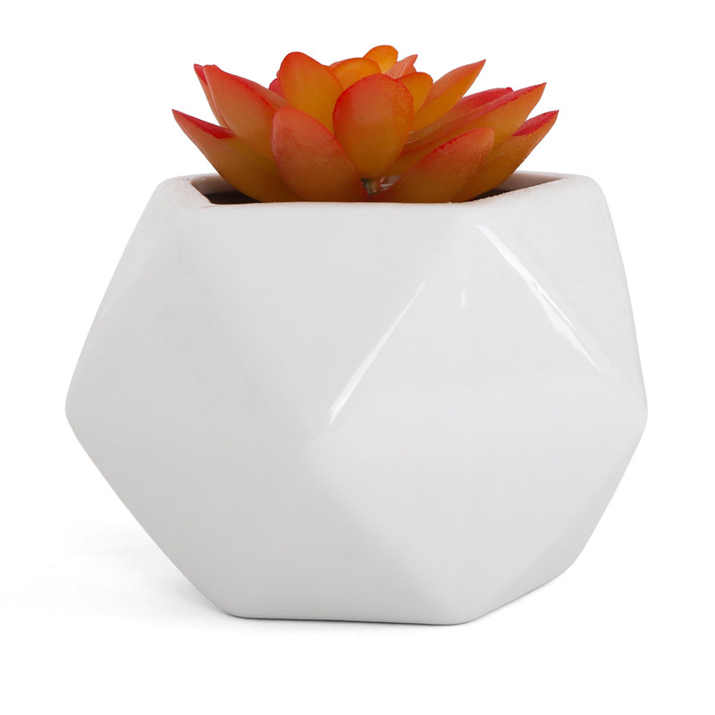 Plante grasse artificielle 4 po dans un vase décoratif