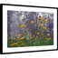 Reproduction d'art encadrée «Coneflower» par Kelly Sinclair