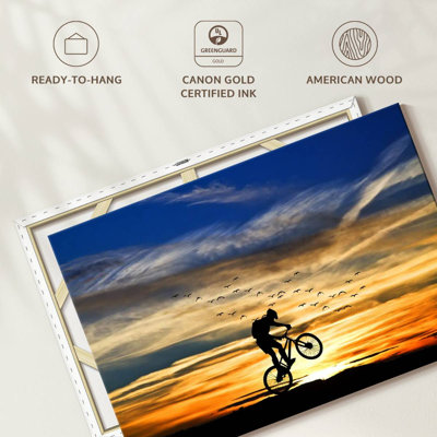 Bicycle Stunt Silhouette