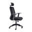 Hinton Polyester Blend Office Chair with Headrest