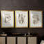 Antique sépia botanicals VI - reproduction encadrée sur mesure de qualité supérieure - 3 pièces