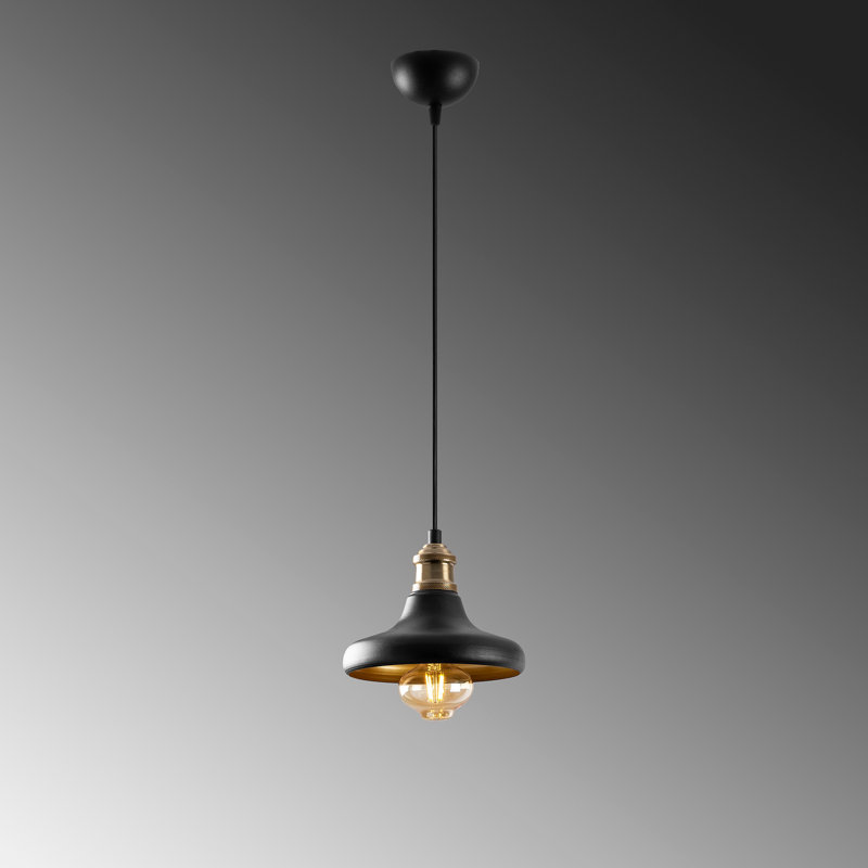 Luminaire suspendu en forme de dôme à 1 lumière Braselton