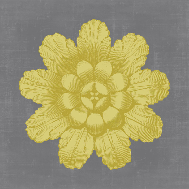 Gilded Rosette III - Wrapped Canvas Print, 51cm H x 51cm W x 3.8cm D