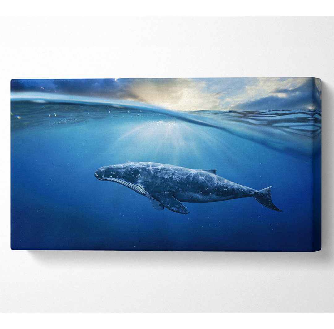 Ocean Whale Wide Canvas Print