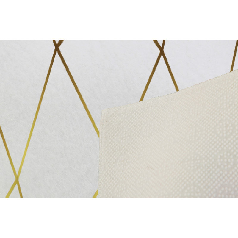 Premium Hall Carpet (3.3 x 6.6 ft), 100% Polyester, 0.4 in Pile Height | Antibacterial, Non-Slip PVC Dot Underside | Machine Washable, 3D Digital Printing | Ideal for Living Room, Bedroom, and Entryway Decor