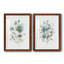 Linen Botanical I - Ensemble de 2 reproductions d'art-1969708310-1969708311-1969708319