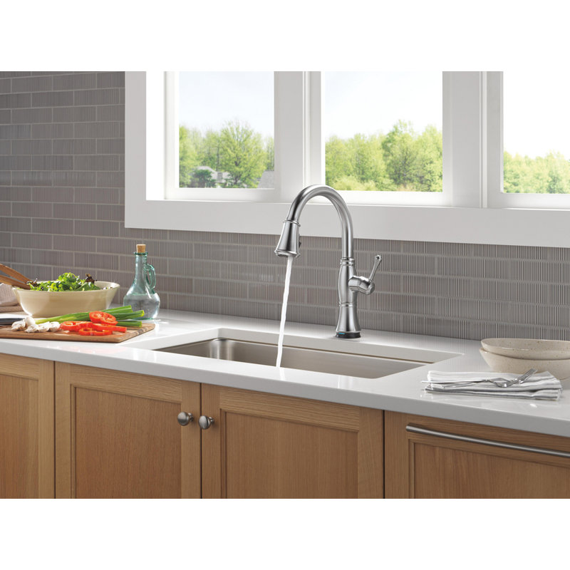 Delta Cassidy Touch2O Kitchen Sink Faucet with Touchless Technology, Lumicoat  Arctic Stainless