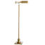 Briggs 165.1cm Brass Extendable Floor Lamp