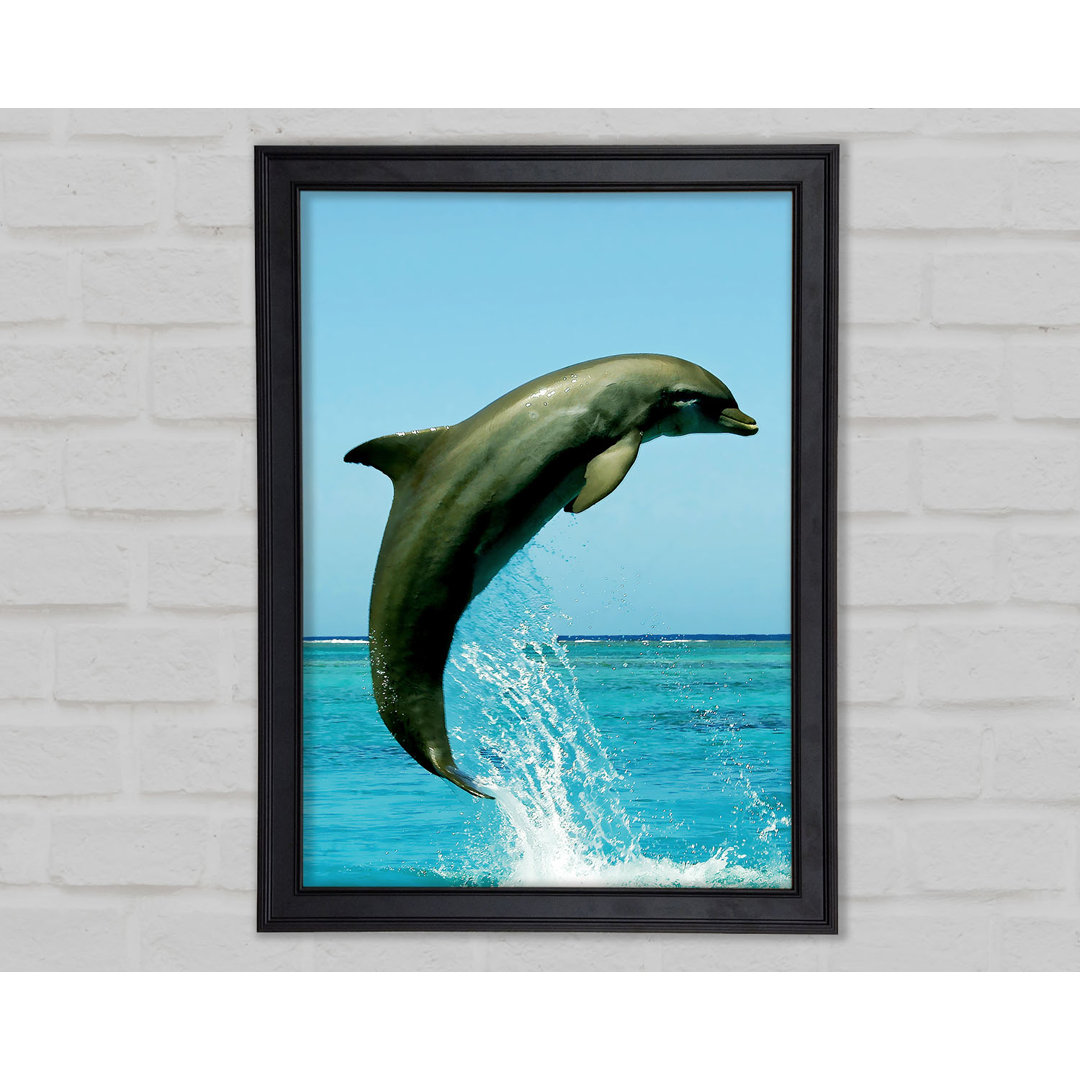 Gerahmtes Bild Dolphin Jump