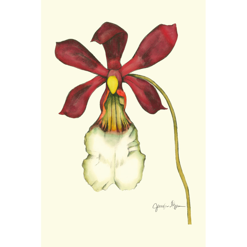 Majestic Orchid II by Jennifer Goldberger - Wrapped Canvas Art Prints, 46cm H x 30cm W