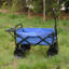 Chariot de plage pliable-123509948