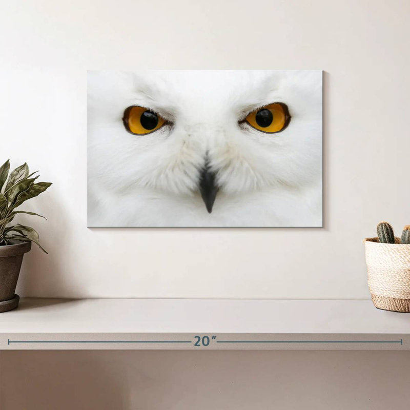Brampt yeux de chouette des neiges, H 8 po x l 12 po