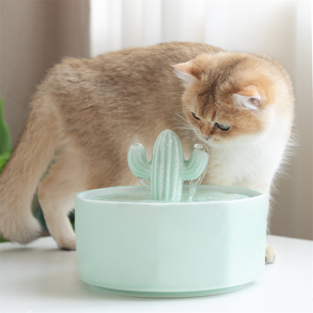 Decorative store cat fountain