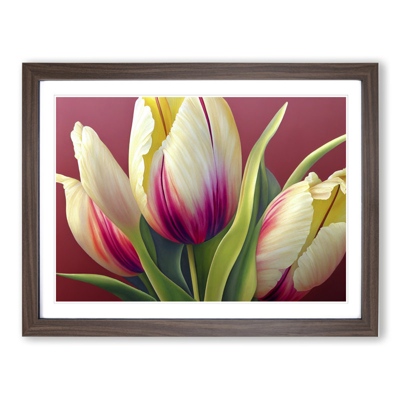 Dazzling Tulip Flowers - Framed Print, Walnut, 34cm H x 46cm W x 2cm D