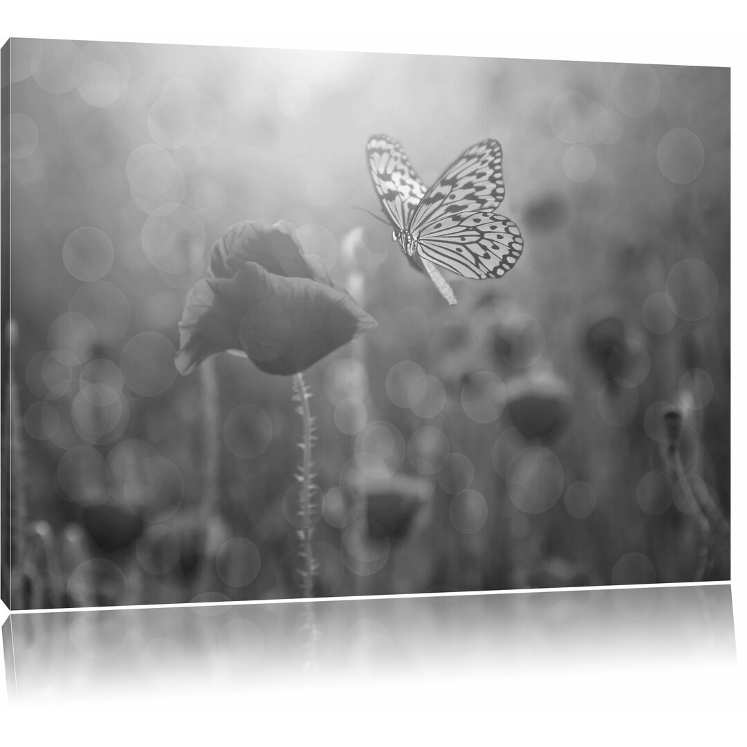 Leinwandbild „Mohn und Schmetterling“, Fotodruck