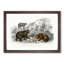 Polar, Grizzly and Bears by Oliver Goldsmith - Picture Frame Painting Print-55601818-55601821