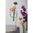 Loopty Loop Stand 7"x 5"x 12"