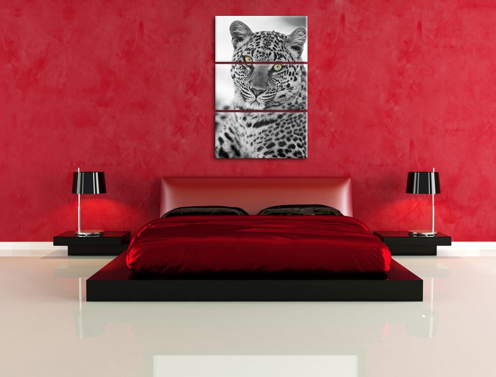 3-tlg. Leinwandbilder-Set „Wunderschöner Leopard Porträt“, Fotodruck