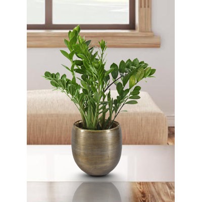 Rudalph Metal Cachepot