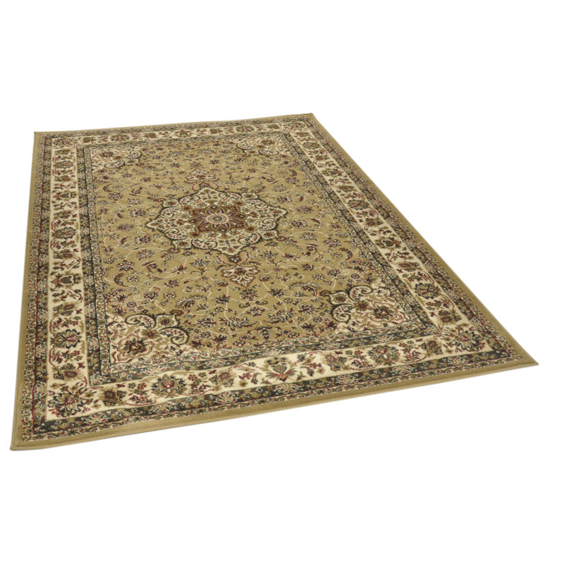 Oriental Area Rug, Rectangle 240 x 340cm
