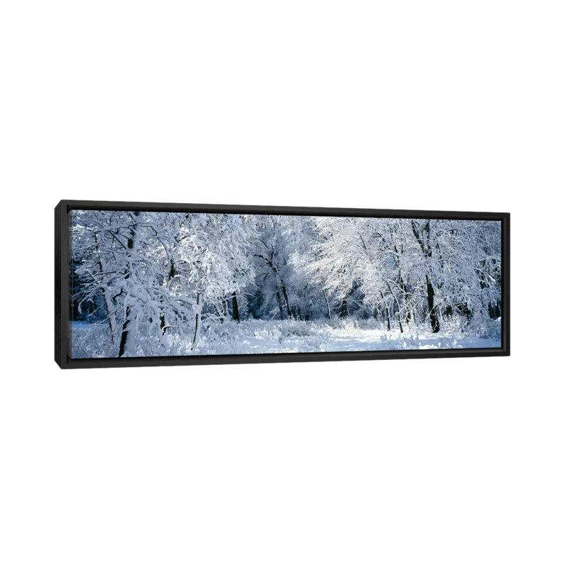«Panoramic Winter Forest, Yosemite National Park, California, USA» par Panoramic Images - Reproduction giclée sur toile tendue avec châssis