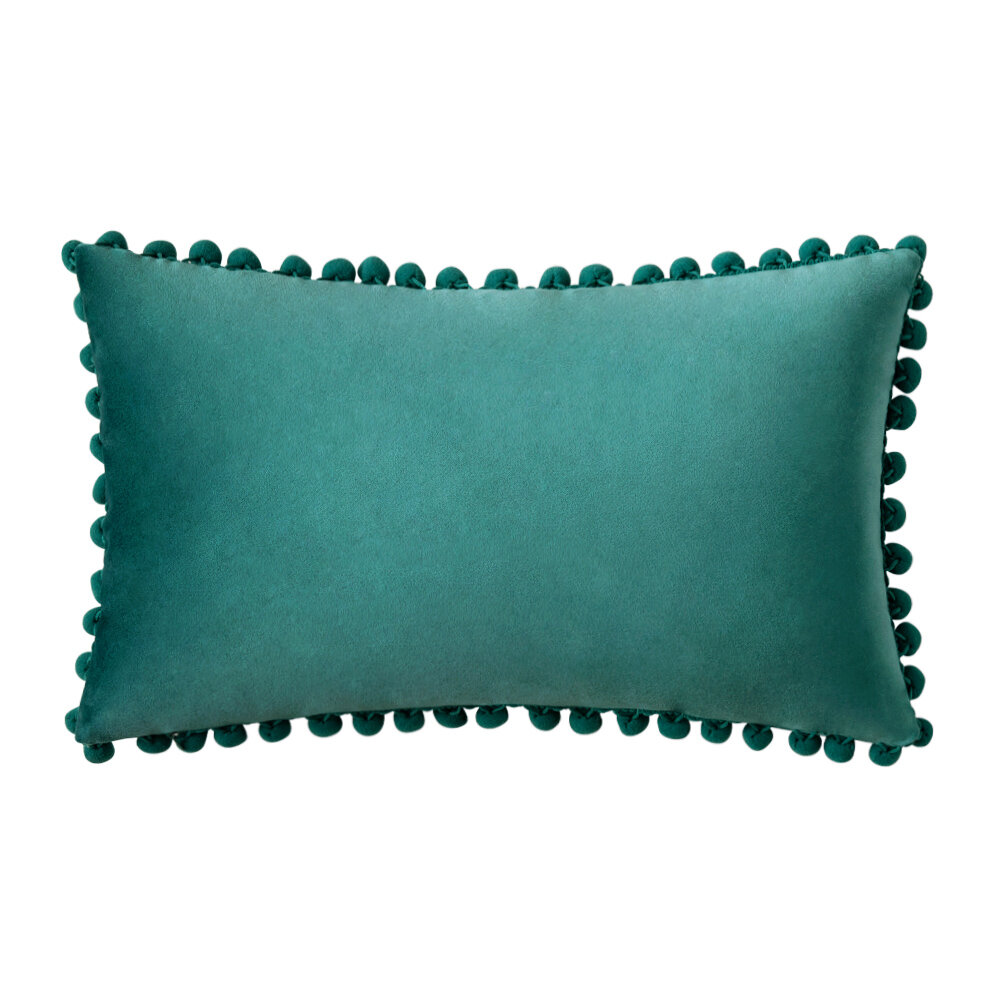 https://assets.wfcdn.com/im/28735338/compr-r85/1636/163662945/stephani-pom-poms-velvet-pillow-cover.jpg