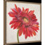 «Red Gerber Daisy», reproduction encadrée sur toile par Patricia Pinto-555293732