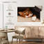Crowle Cozy Cat-111859392