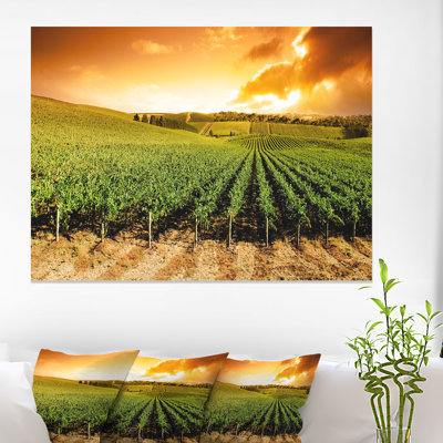 " Sunset Vineyard Panorama " Print