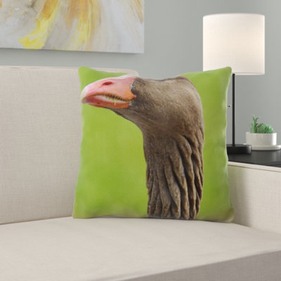 Coussin d’oie