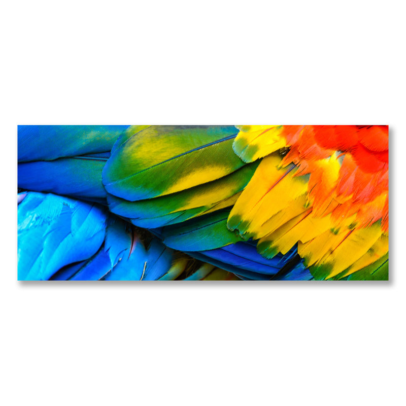 Rainbow Feathers One, Métal