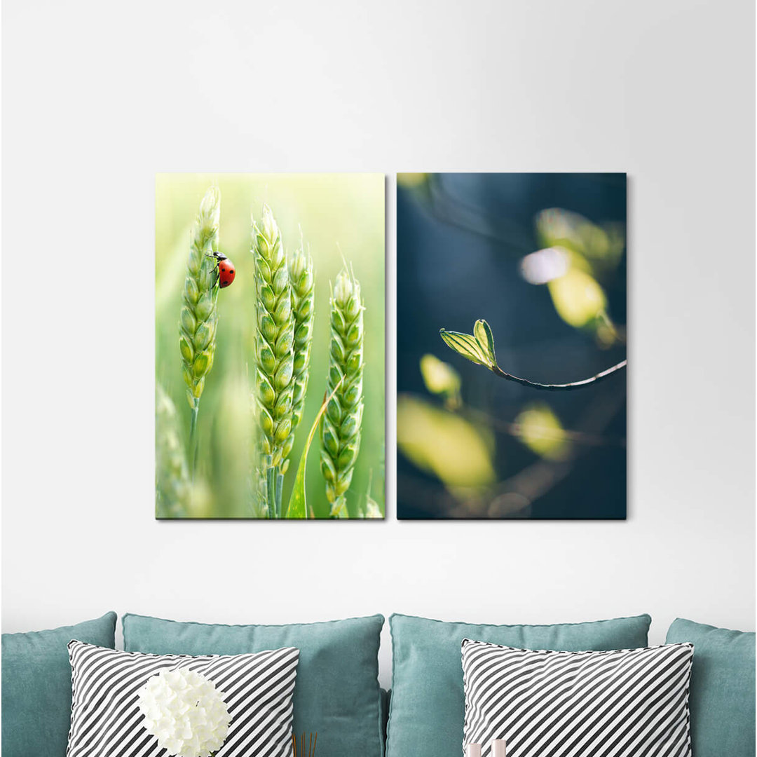 2-tlg. Leinwandbilder-Set - Grafikdruck „Ladybird Lucky Beetle Wheat Fresh Green Calming”