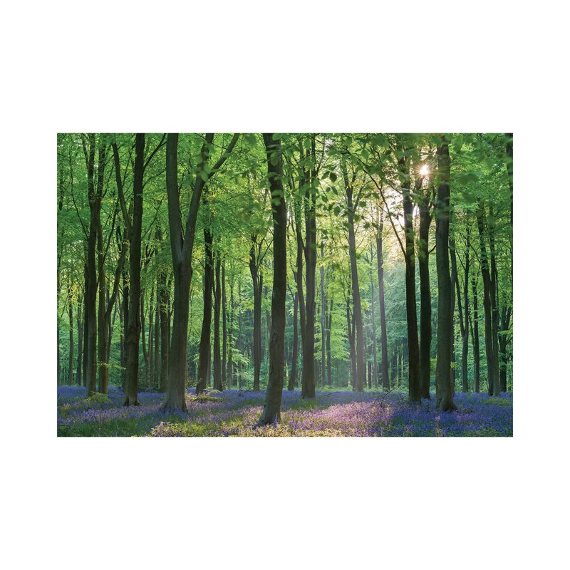 Bluebell Forest II by Adam Burton - Print on Canvas, 66.04cm H x 101.6cm W x 1.91cm D, Wrapped Canvas
