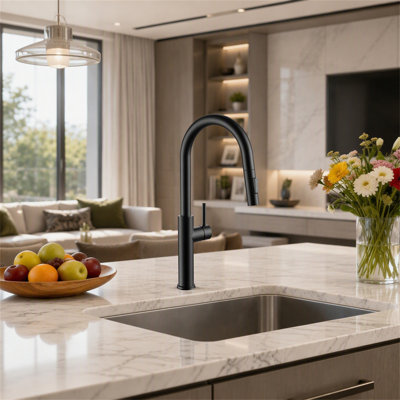 ROBOHIGH Kitchen Faucet Side Spray