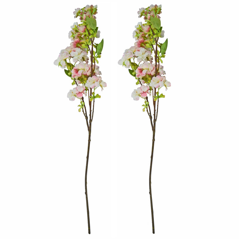 Tiges de fleurs de cerisier