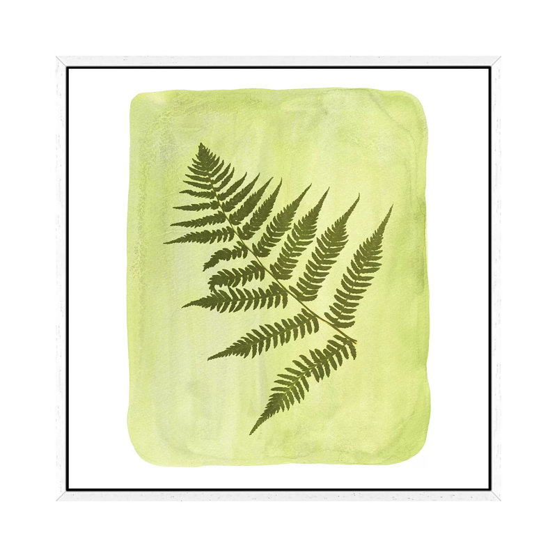 Fern 1 Piece Painting on Canvas, 45.72cm H x 45.72cm W x 3.81cm D, White Framed