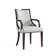 Elianys 18.5'' H Upholstered Beech Armchair