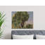 Minnich Wrapped Canvas Print Set-815318601