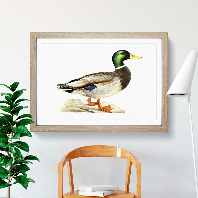 A Mallard Duck by Von Wright - Framed Print, 45cm H x 63cm W x 2cm D, Oak Framed