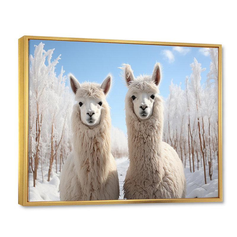 Alpagas Graceful Alpacas III - impression, H 16 po x l 32 po x P 1 po, Cadre flottant doré