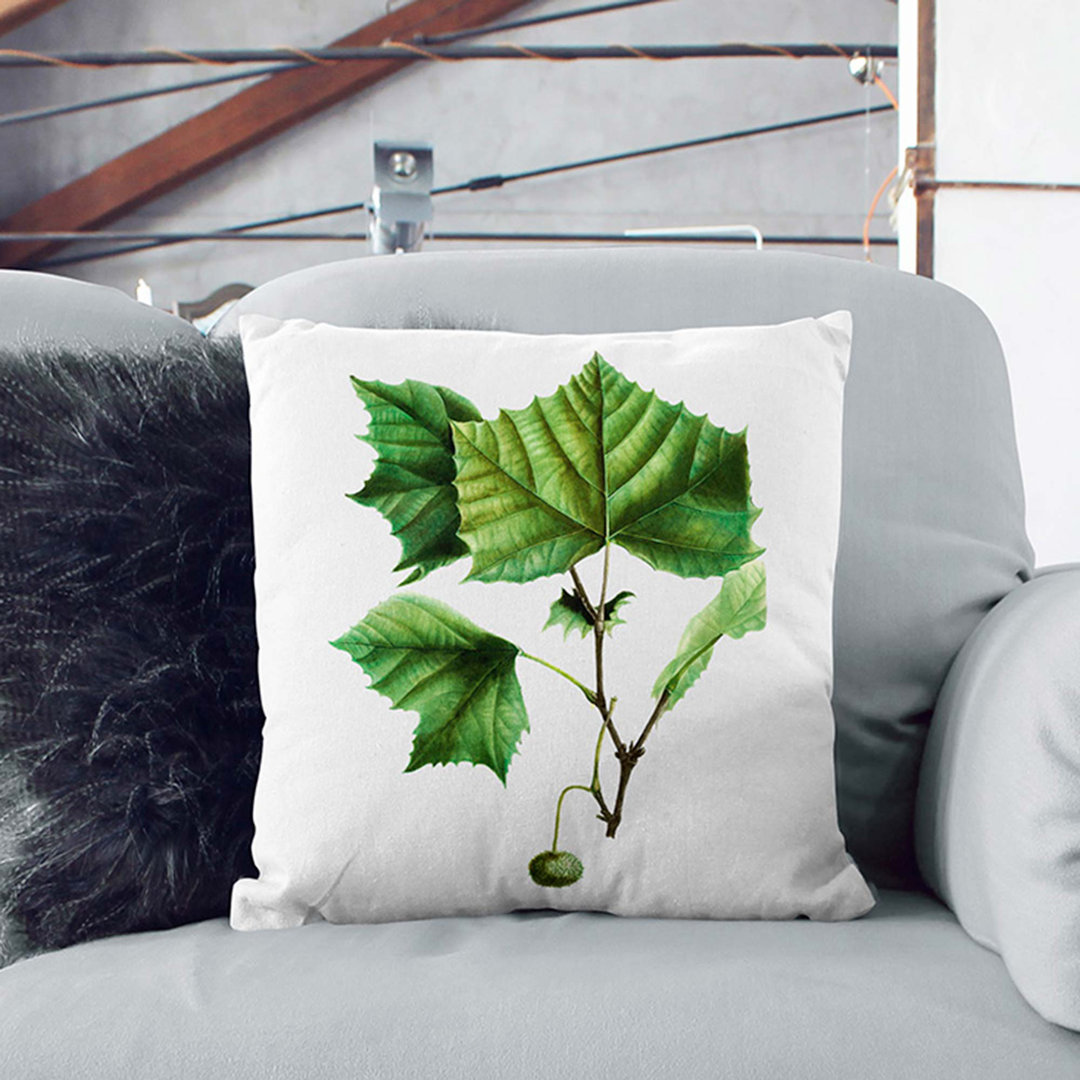 Sycamore Tree by Pierre-Joseph Redoute Cushion with Filling
