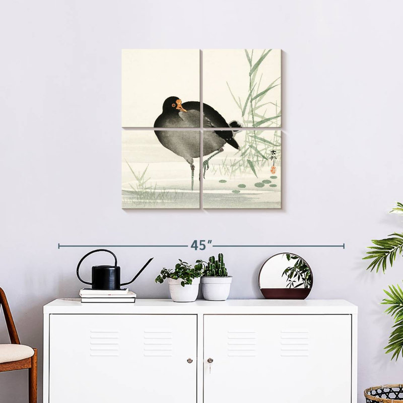 Brampt Moorhen