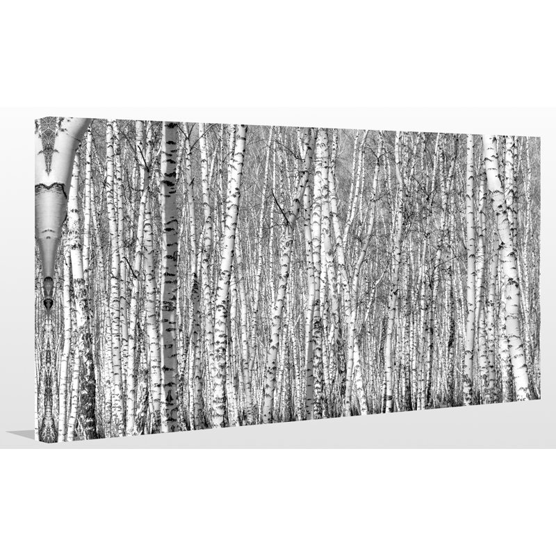 « birching environ 6 », reproduction de photo sur toile tendue, H 18 po x l 30 po x P 1 po